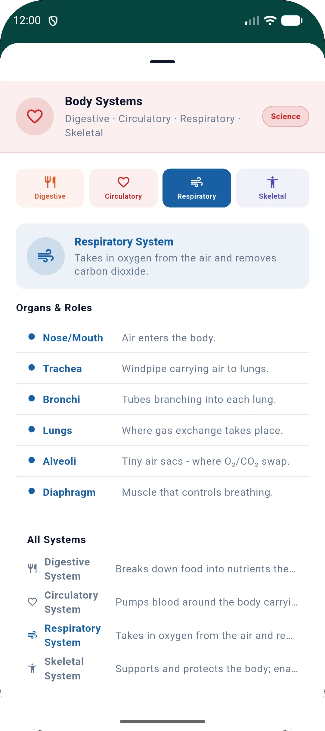 Body Systems · Science